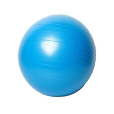 Pelota Esferodinamia 65cm Dys