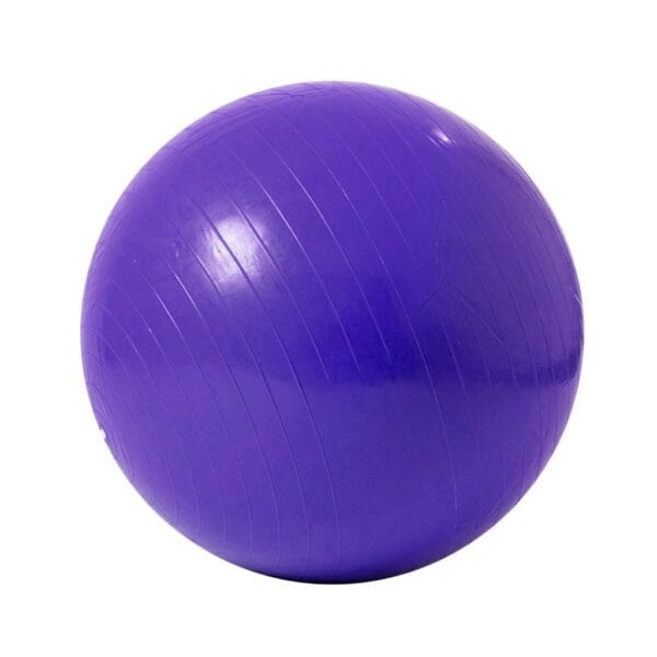 Pelota Esferodinamia 50cm Dys - Imagen 3