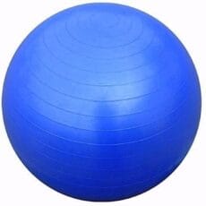 Pelota Esferodinamia 50cm Dys