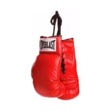 Guantes Boxeo Everlast