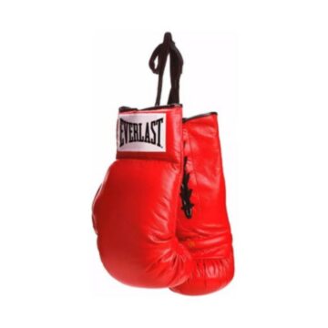 Guantes Boxeo Everlast