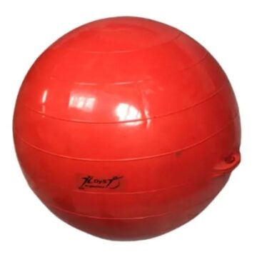 Pelota de Esferodinamia con Asas