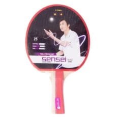 Paleta Ping Pong 2 Stars Sensei