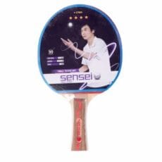 Paleta Ping Pong 4 Stars Sensei