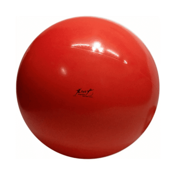 Pelota Esferodinamia 75cm