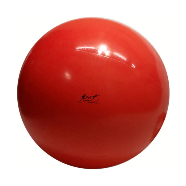 Pelota Esferodinamia 75cm