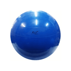 Pelota Esferodinamia 55cm
