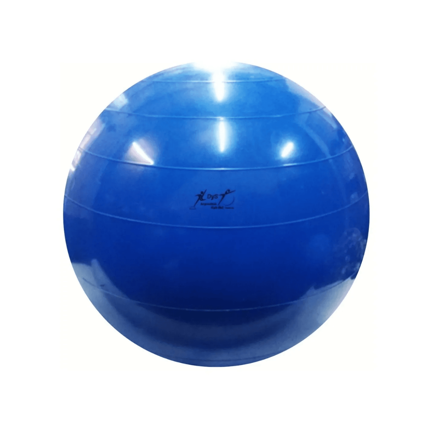 Pelota Esferodinamia 55cm