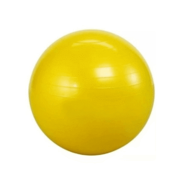 Pelota Esferodinamia 85cm