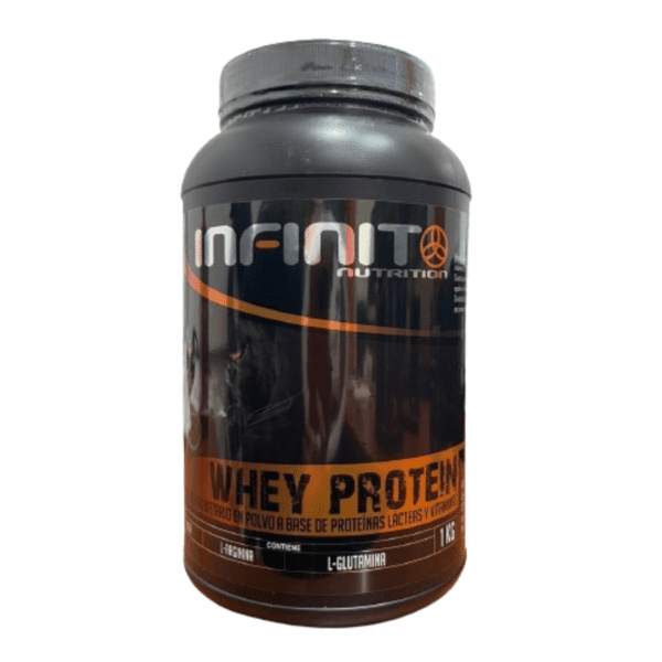 Proteina Whey Protein Infinit Nutrition X 1 Kg - Imagen 2