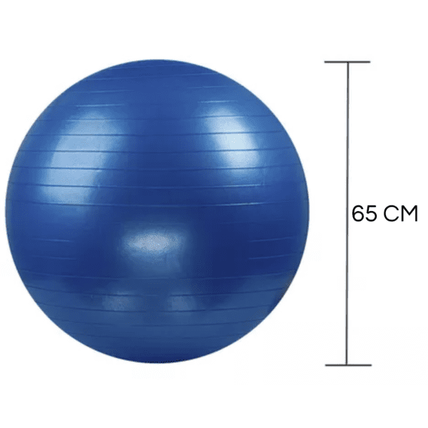 Pelota de Esferodinamia 65CM Hyggefit