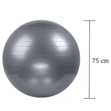 Pelota de Esferodinamia 75cm Hyggefit